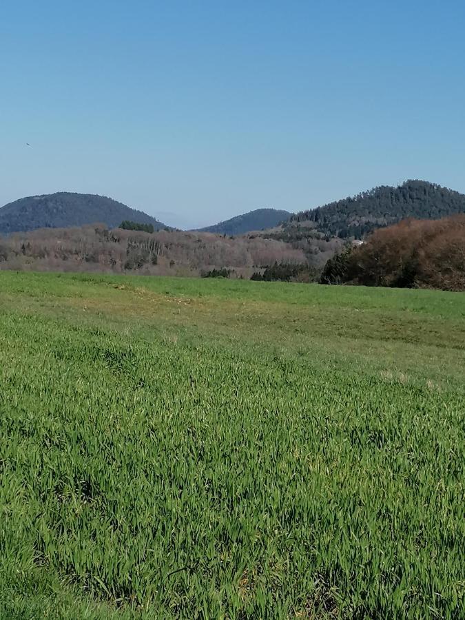 Air Paix Le Mont Villa Herpelmont Bagian luar foto